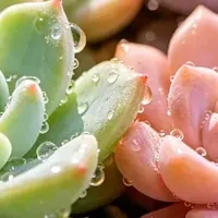咖啡烟渍黄牙不敢露齿笑？黄牙星人4款去渍美白牙膏分享