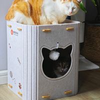 OH NO，猫猫宠幸新猫窝的热度，居然只有短短半天？