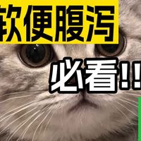 哪种猫粮适合肠胃不好的猫长期吃?比较好平价低敏猫粮前五品牌