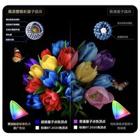 电视颜色越浓,画质就一定越好吗?
