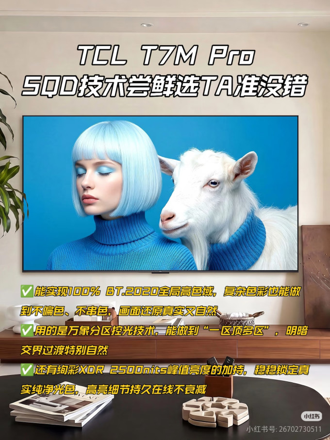 电视