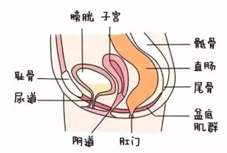 盆底肌修复仪是智商税吗？看完全网真实反馈，这笔成本账给你算明白