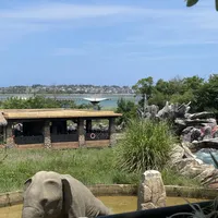 "凯悦"招牌也不是护身符：近一个月6家热门凯悦度假酒店真实口碑复盘
