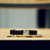 中古表涨到玩家买不起，但卡地亚这只“小金块”还在1.5万上下：must坦克入坑前先过这5道关