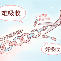 胶原蛋白肽口服液是智商税吗？看完2000字科学数据我动摇了