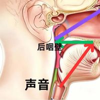 KTV唱歌嗓子废？三步改掉大白嗓，声音好听又不累