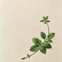 花2000买定制衬衫是交智商税？看完这篇不再纠结