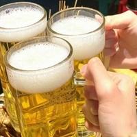130年的老酵母+28天慢酿,这啤酒配料表简单到“过分”