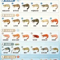 一图看懂30种虾🦐逛海鲜市场再也不会叫不出名字