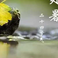 处暑到了，再忙也要记得给家人做5种“出暑汤”，败光火气过秋天