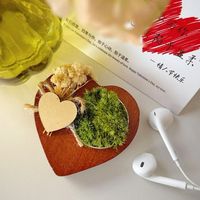 七夕送礼不撞款!爱心苔藓礼盒,百元浪漫完胜鲜花