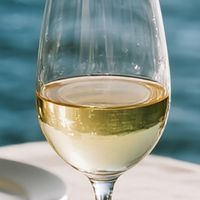 🍷别劝了，这瓶是我的“社交底线”