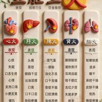 心肝胃肺肾各有火！中医教你分辨五种上火，对症调理才有效