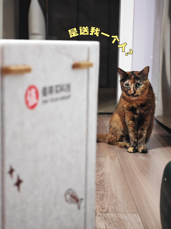 佳茉通用猫狗窝