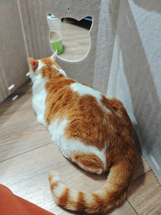 佳茉通用猫狗窝