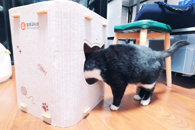 猫狗窝