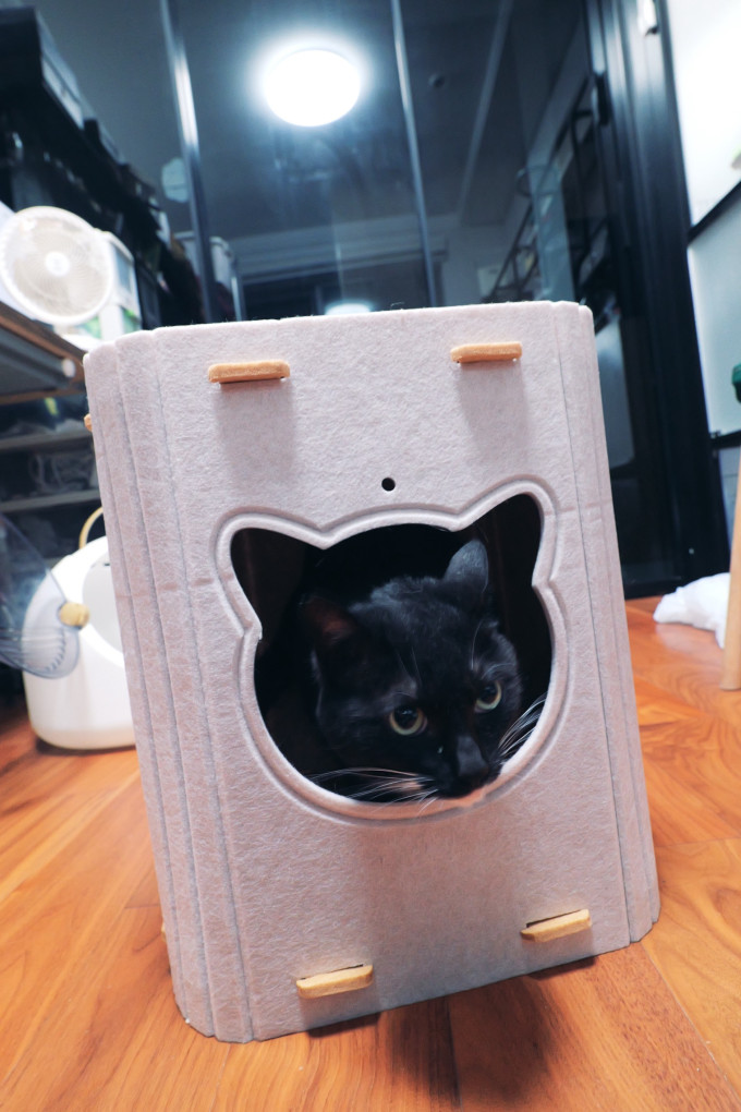 猫狗窝