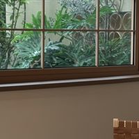 家装避坑！认准全生堂0甲醛正品糯米石灰