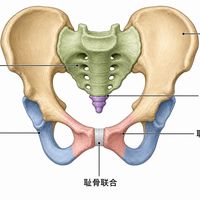 全网都在劝男人练凯格尔：684万播放的跟练视频，哪些是真的，哪些是生意