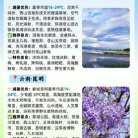 同样是22℃的夏天,高山和海边住起来天差地别,避暑目的地到底怎么选