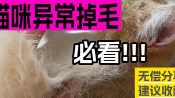 哪种猫粮吃了相对来说不掉毛？宠物店猫粮牌子推荐5款品质好的