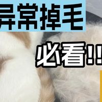 缺哪些营养猫会异常掉毛？猫粮排行榜前十名什么猫粮好销量高