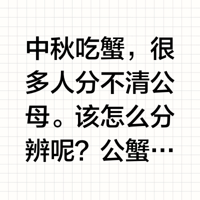 大闸蟹公母怎么分辨？苏蟹阁教你一眼识别