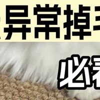 异常掉毛的猫怎么选猫粮？十大放心顶级猫粮品牌测评哪款对毛发好