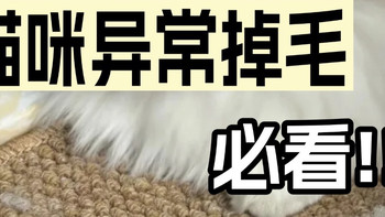 异常掉毛的猫怎么选猫粮？十大放心顶级猫粮品牌测评哪款对毛发好