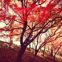 4万公里老司机忠告：暑期带娃自驾，99%的家长都忽略了这些安全细节