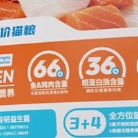 猫掉毛严重和猫粮有关吗？2026比较好又便宜的5款猫粮