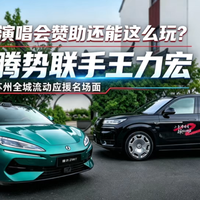 演唱会赞助还能这么玩?