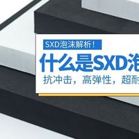 SXD泡沫是什么？为什么它才是匹克球拍的核芯首选？