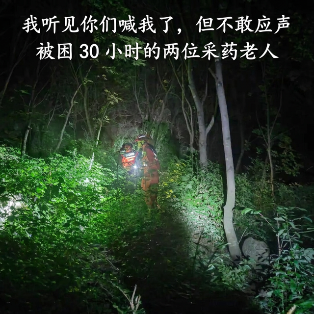 山野备忘录｜"我听见你们喊我了，但不敢应声"——被困 30 小时的两位采药老人