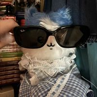 RayBan 雷朋窄框枕形墨镜｜男女通杀氛围感单品