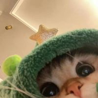 CXG猫咪喝水少?科学喂养方法✨