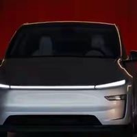 Model Y焕新版突然“会放电”了？海外车主已抢着买转接器