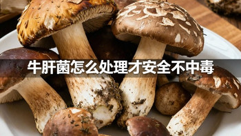 牛肝菌怎么处理才安全不中毒