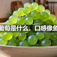 海葡萄是什么，口感像鱼籽