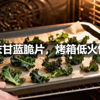 羽衣甘蓝脆片，烤箱低火慢烤