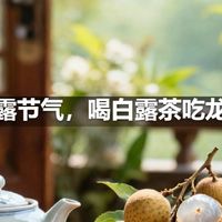 白露节气，喝白露茶吃龙眼