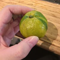 在贵州发现一个打了蝴蝶结的橘子也！