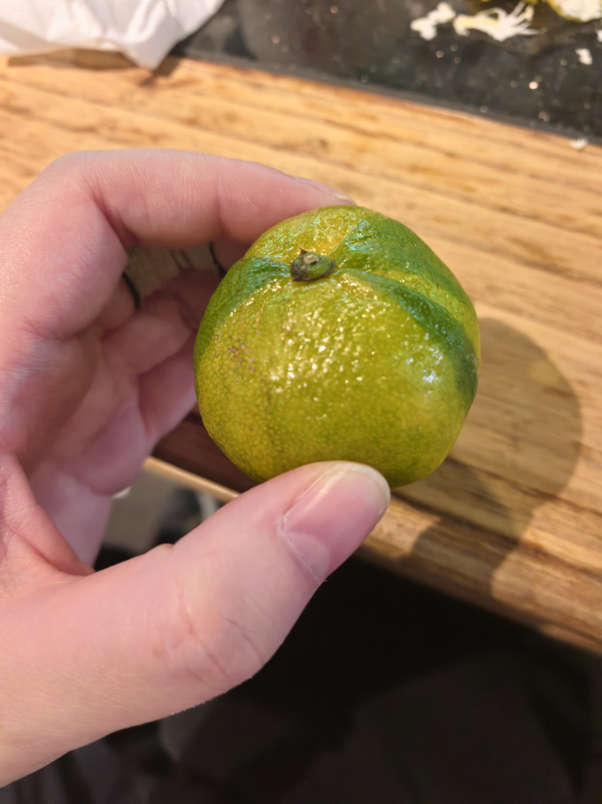 新鲜水果