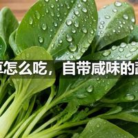 冰草怎么吃，自带咸味的蔬菜
