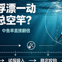 为什么浮漂一动就提竿总空竿？搞懂鱼的进食逻辑，中鱼率直接翻倍