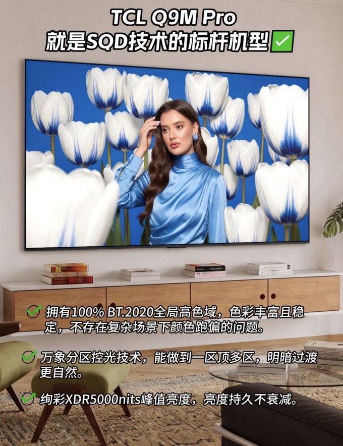 电视