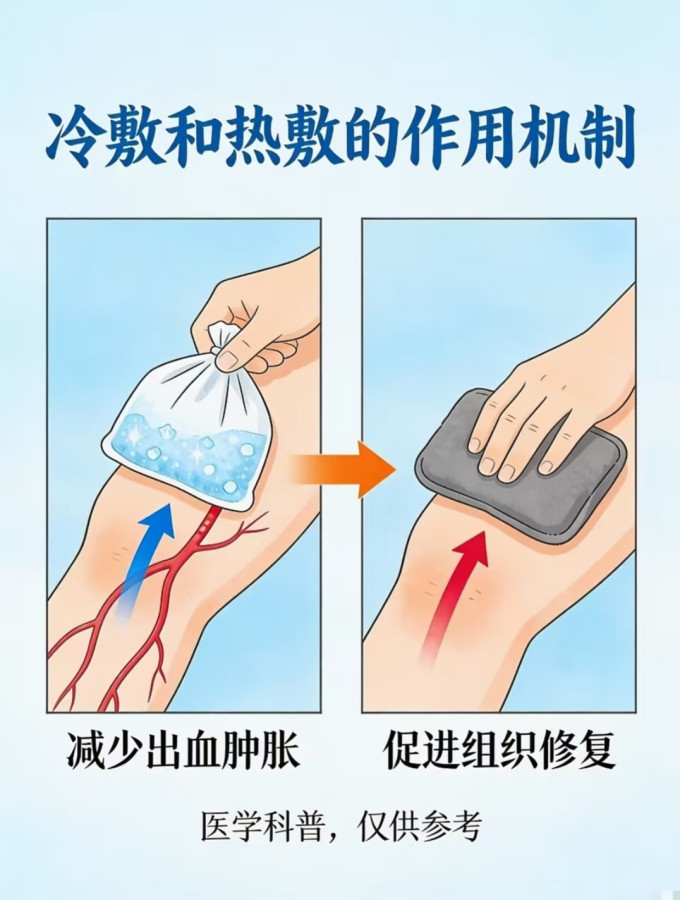 运动护具
