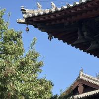 来山西旅游我收藏了这些晋善晋美停车广场