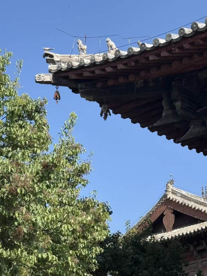 国内度假