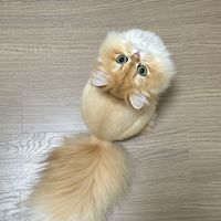 剃完毛猫不吃、狗不出：这波"剃毛后抑郁"怎么救？我翻了近期几十条后悔帖，整理出一份自救时间表